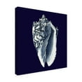 thumbnail image 2 of Trademark Fine Art 'Y SE PAPER Indigo Shells II' Canvas Art by Vision Studio, 2 of 4