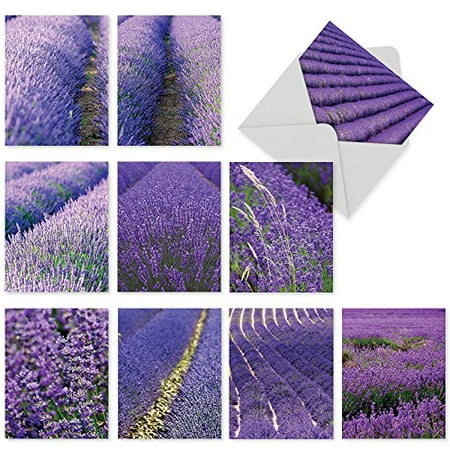'M3017 LAVENDER FIELDS FOREVER' 10 Assorted Thank You Notecards Beautiful Visions of Fields of Growing Lavender Flowers with Envelopes by The Best Card