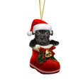 thumbnail image 2 of Riforla 1PC Santa Boot Christmas Dog Acrylic Ornament Christmas Dogs Ornament Christmas Stocking Animal Ornament Christmas Ornament Christmas Decoration Hangs Home Decor E, 2 of 6