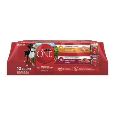 (12 Pack) Purina ONE Tender Cuts in Gravy Chicken and Brown Rice and Beef and Barley Entrees High Protein Wet Dog Food Variety Pack, 13 oz.