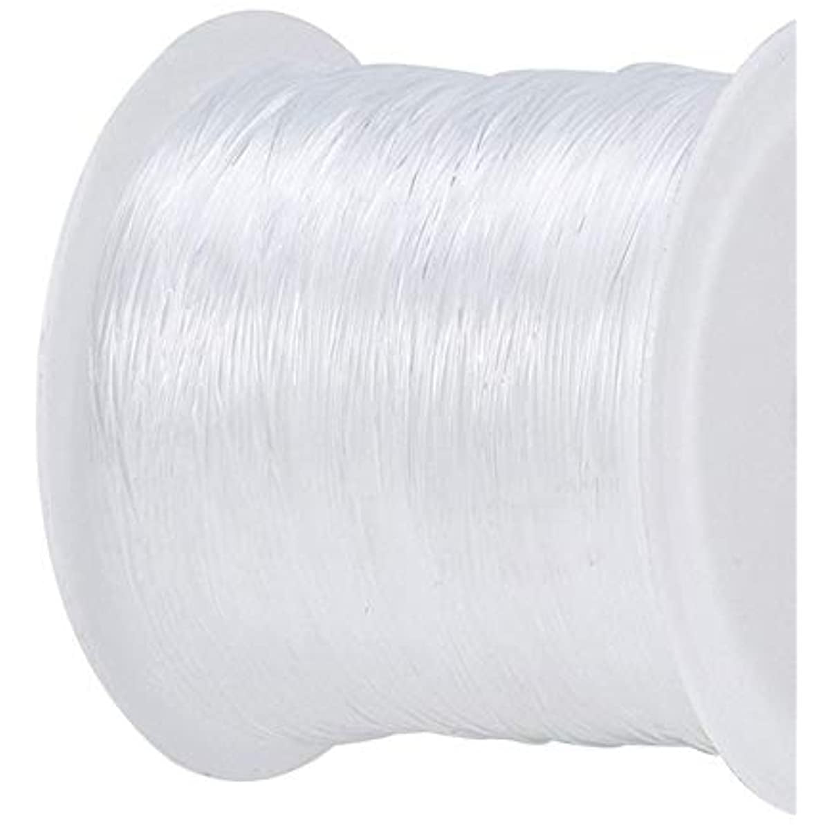 2 Rolls Fishing Line Clear Nylon Fish String Cord Crystal Nylon Thread  Fishing Line Wire for Craft Bracelet Beads,180 Yards 0.3 mm (329 m in  Total, No