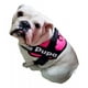 thumbnail image 1 of Pechera Personalizada Bulldog Ingles, 1 of 5