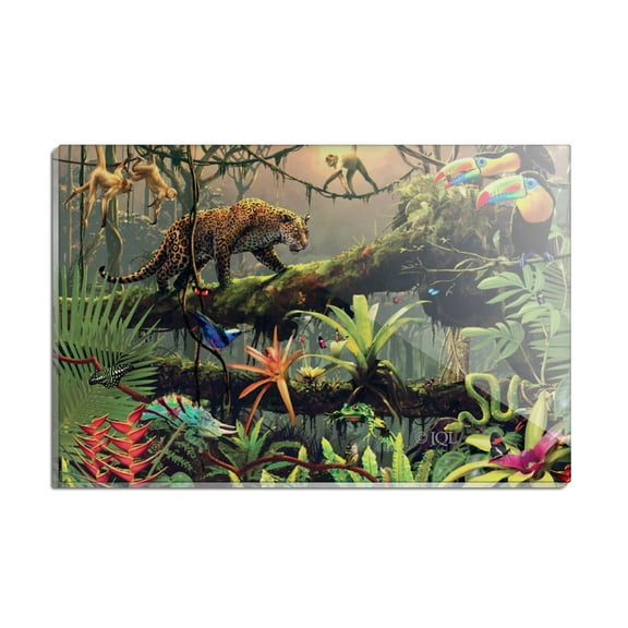 Jungle Life Leopard Cat Toucans Monkeys Rectangle Acrylic Fridge Refrigerator Magnet