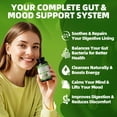 thumbnail image 4 of 24-in-1 Gut & Mood Support Supplement - Slippery Elm Bark, Probiotics & Ashwagandha - 120 Capsules, 4 of 8