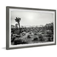 thumbnail image 2 of Marmont Hill Joshua Trees Framed Wall Art, 2 of 6