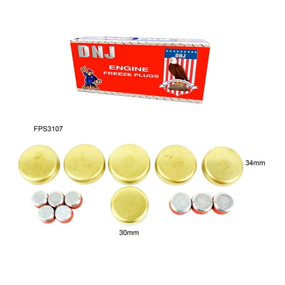 DNJ FPS3107 Expansion Plug Kit Fits Cars & Trucks 93-95 Chevrolet Pontiac Camaro 3.4L V6 OHV