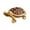 C, variant on Alloy Turtle Shape Jewelry Storage Box Mini Desktop Organizer For Ring Earring Souvenir Home Decoration