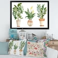 thumbnail image 3 of Designart 'Houseplant Peace Lily In Terra Cotta and Monstera' Farmhouse Framed Art Print, 3 of 4
