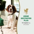 thumbnail image 3 of Urine Destroyer Plus Dog, 32 Ounces, Enzymatic Formula, Ready-to-Use, 3 of 9