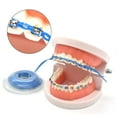 10 Pcs Dental DU20Orthodontic Elastic Chain Power Chains Brace Orthodontic Spool Elastic Rubber