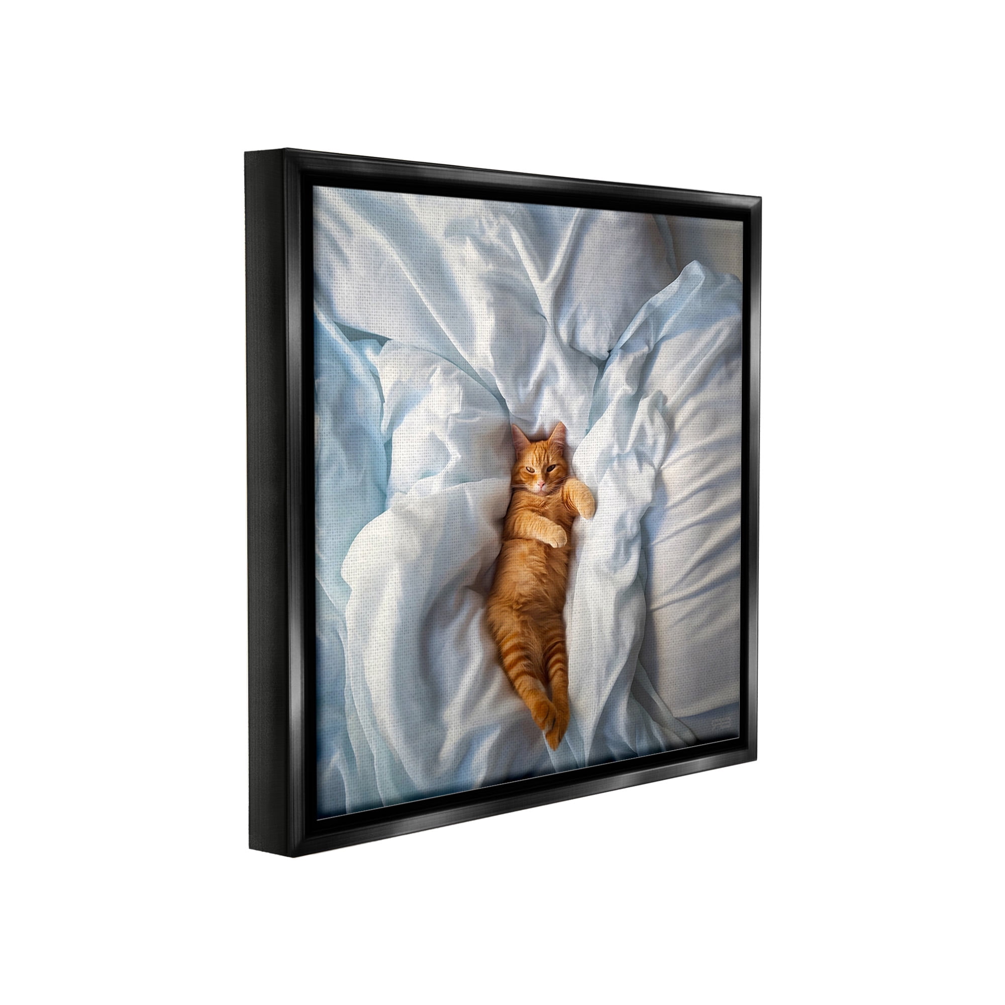 Stupell Industries Sprawled Orange Cat Animals & Insects Painting Black Floater Framed Canvas Art Print Wall Art, 18 x 18