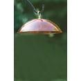 thumbnail image 5 of Birds Choice 10" Color Pop Collection Protective Dome Cover for Hanging Bird Feeders, Orange, 5 of 11