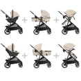 thumbnail image 2 of Evenflo Shyft Intuiti+ Travel System featuring Revolve180 LiteMax NXT Rotating Infant Car Seat with SensorySoothe (Age 0-5 Years, Weight 3-55 lbs), 2 of 12