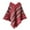 Red, variant on Seductiva Womens Scarf Fashion for Winter Thermal Shawl Women Fall Winter Scarf Classic Tassel Plaid Scarf Warm Soft Chunky Large Blanket Wrap Shawl Scarves 1 Pack Warm Scarf Checkered Neck Scarves
