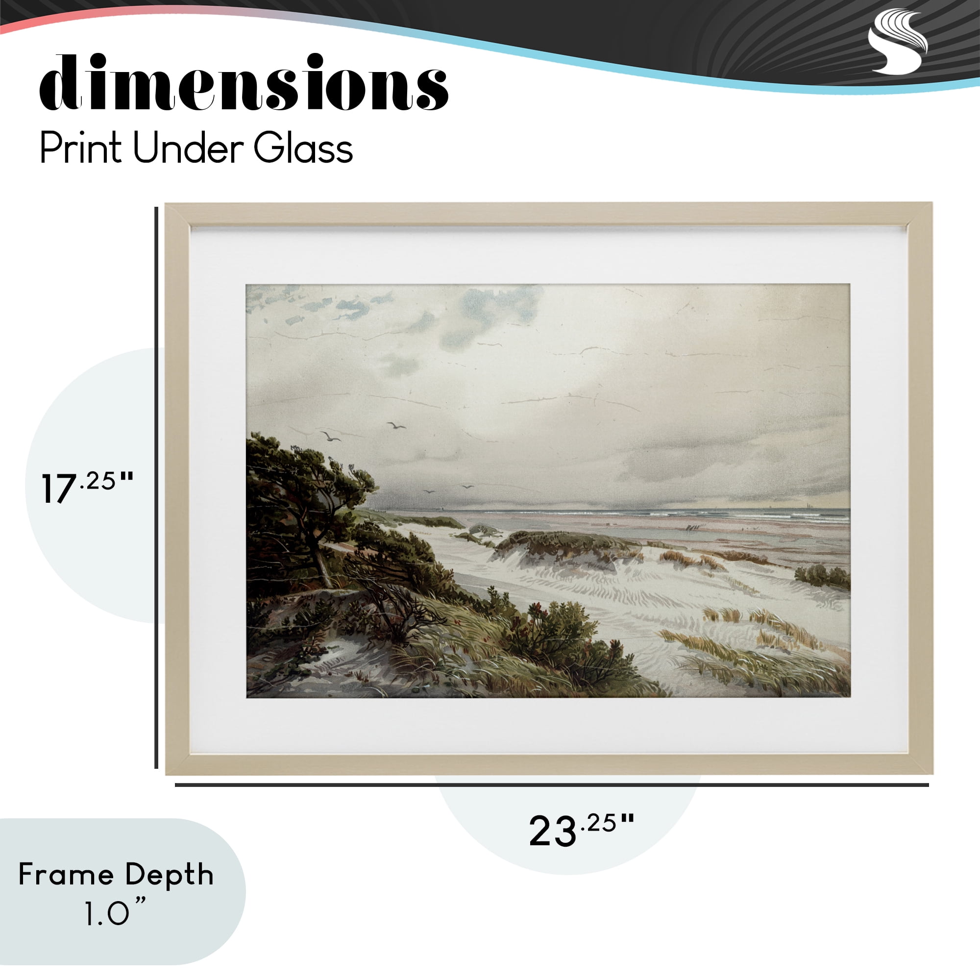 Stupell Industries Bountiful Success Beach Birch Framed Print Under Glass, design by Lula Bijoux & co.