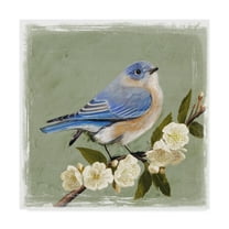 Trademark Fine Art 'Bluebird Branch I' Canvas Art by Victoria Borges