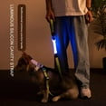 thumbnail image 2 of Hazel Tech Pet LED Multi-function Traction Rope Luminous Collar Strap (two CR2032 Button Batteries, Battery Capacity 240mAh), 2 of 12