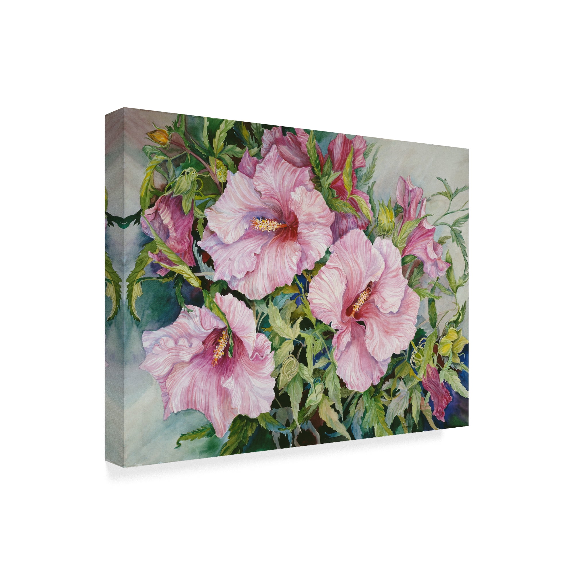 Trademark Fine Art 'Pink Hibiscus' Canvas Art by Joanne Porter