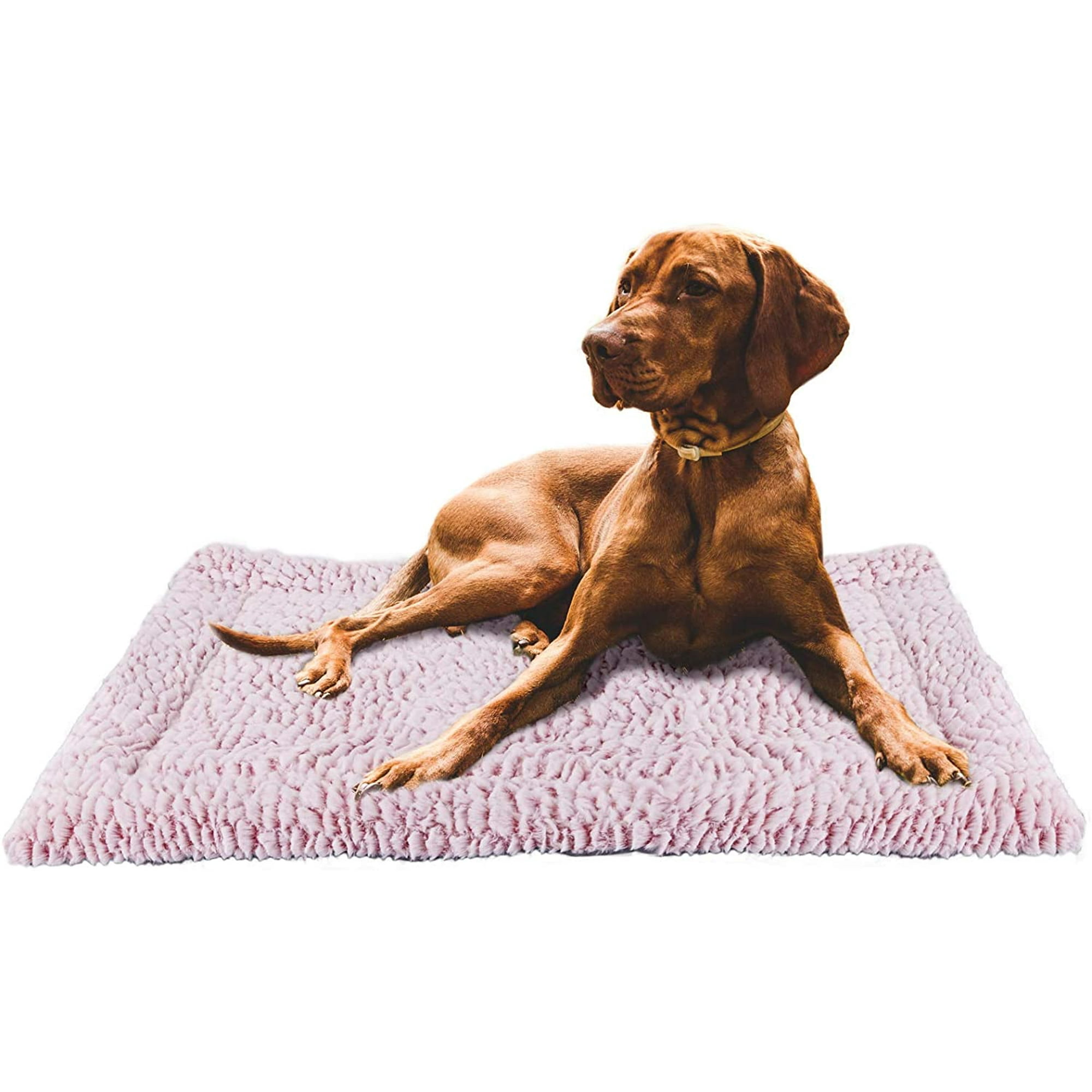 Can You Cover Dog Crate With A Blanket