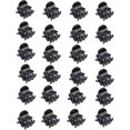 thumbnail image 1 of Mini Hair Clips, 24 Pcs Women's Hair Clips Plastic Hair Clips Hair Clips Plastic, 1 of 3
