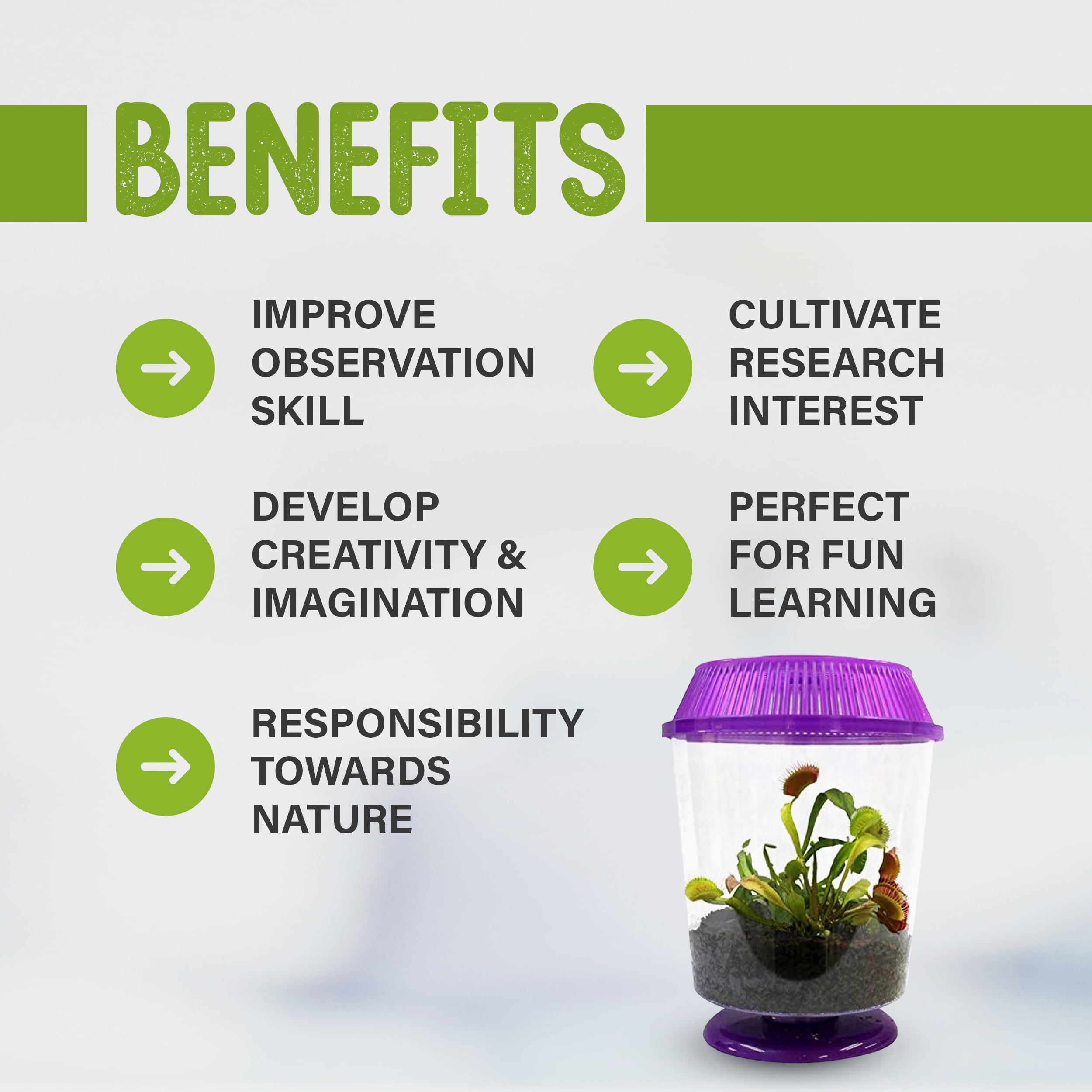 Venus Fly Trap Live Plant with Assorted Color 4.5” Terrarium +Carnivorous Plant Soil and Live Venus Flytrap
