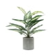 thumbnail image 1 of Billuyoard Plantas en macetas artificiales verdes con patrones claros Hoja trasera de tortuga Flores artificiales Decoración, 1 of 6