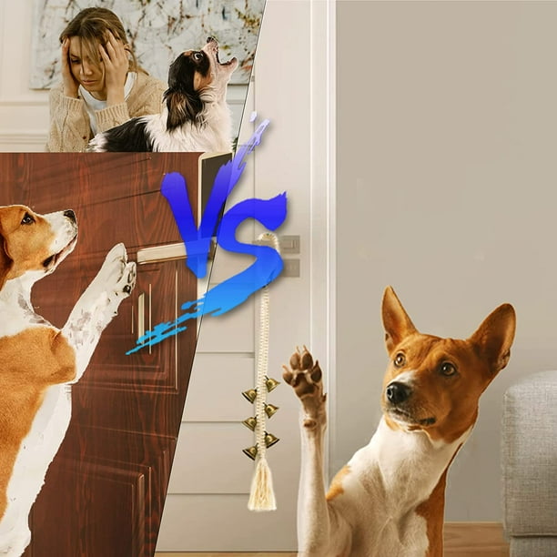 Dog smart bell discount
