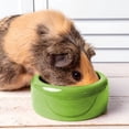 thumbnail image 4 of Vitakraft Menu Premium Guinea Pig Food 4Lb, 4 of 7