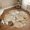 Brown, Beige, Tan, variant on Area Rugs 3'x5', Blue Marble Texture Carpet Runner Indoor Outdoor Rugs Home Decor Aesthetic, Modern Minimalism Stone Geometric Non Slip Mats Washable Accent Rug for Living Room Bedroom