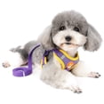 thumbnail image 1 of Morado – Conjunto de arnés y correa para perros pequeños, arnés reflectante ajustable para cachorros, resistente a tirones, chaleco de gamuza suave, arnés antiescapes para gatos Chihuahuas y Yorkshire, 1 of 5
