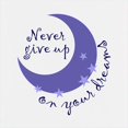thumbnail image 3 of CafePress - NEVER GIVE UP ON DREAMS Hoodie - Kids Hooded Sweatshirt, Classic Hoodie, 3 of 4