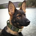 thumbnail image 4 of Heavy Duty Tactical Dog Collars with Handle Military Collar with Patch Outdoor Training and Walking for Medium and Large Dogs, 4 of 7