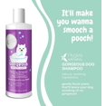 thumbnail image 3 of Gorgeous - Nourishing Pet Shampoo for Dogs – Oatmeal Formula with Aloe and Vitamin E – Natural Ingredients, 16 oz, 3 of 5