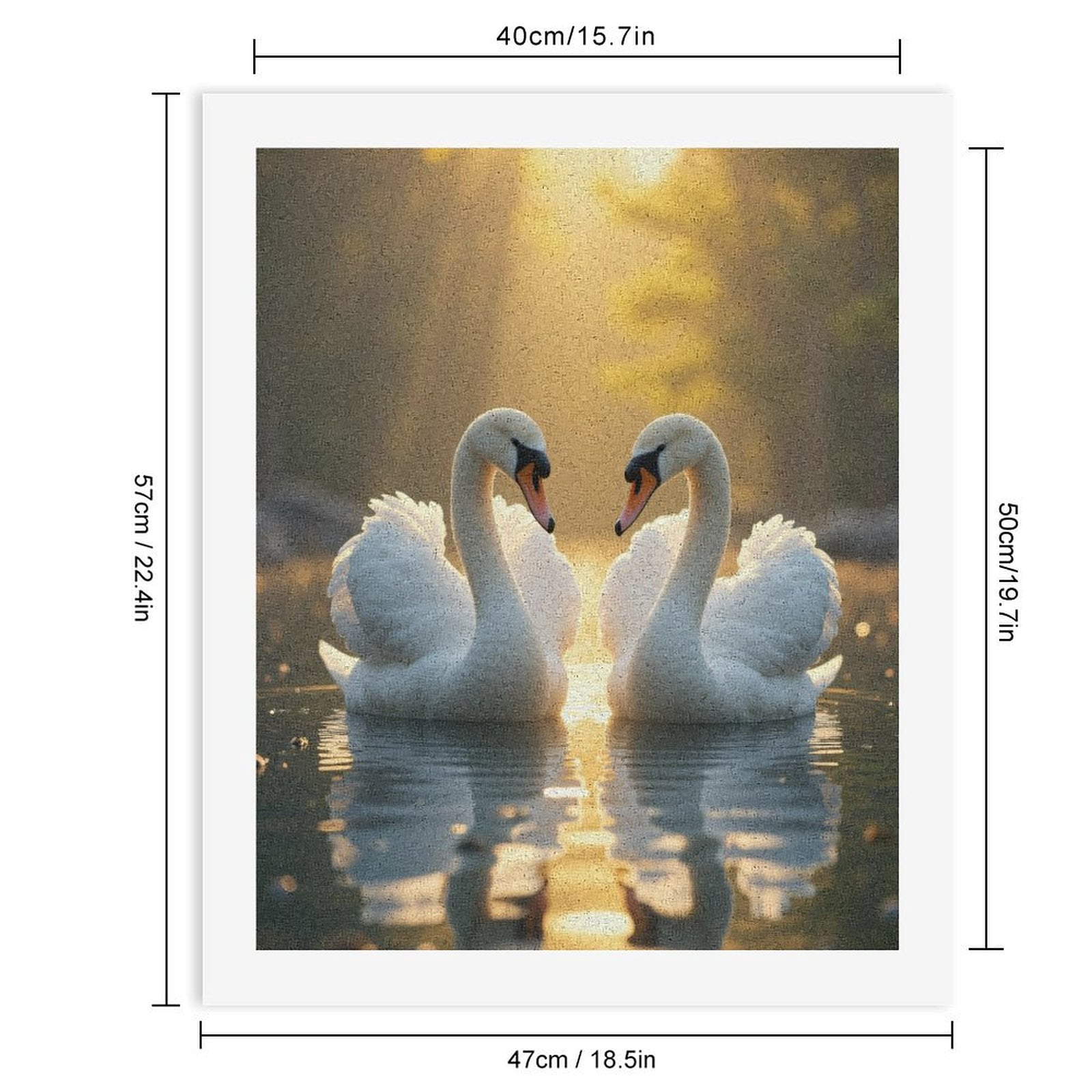 Paint by Numbers Kit for Adults, Swans Reflections Golden Light Paint by Numbers, Easy Paint by Numbers Kit for Adults Beginner, DIY Adult Paint by Number Kits on Canvas, Home Decor