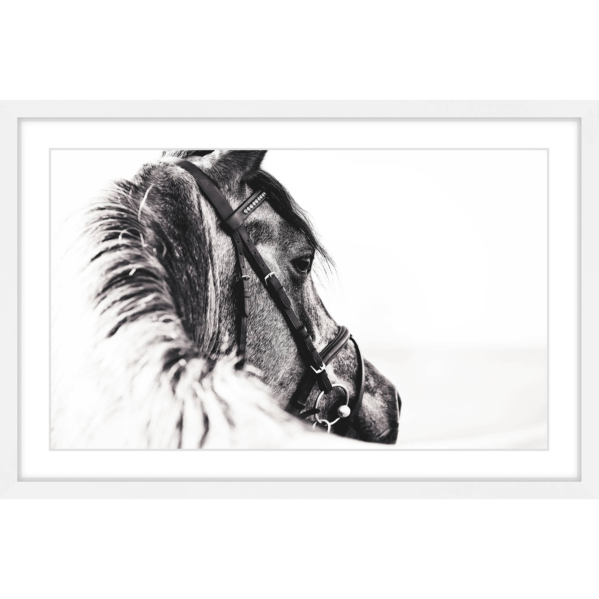 Marmont Hill "Equus Profile" Framed Painting Print