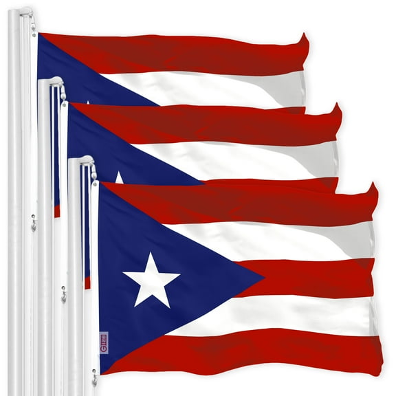 Puerto Rico PR Flag 3x5FT 3-Pack 150D Printed Polyester By G128