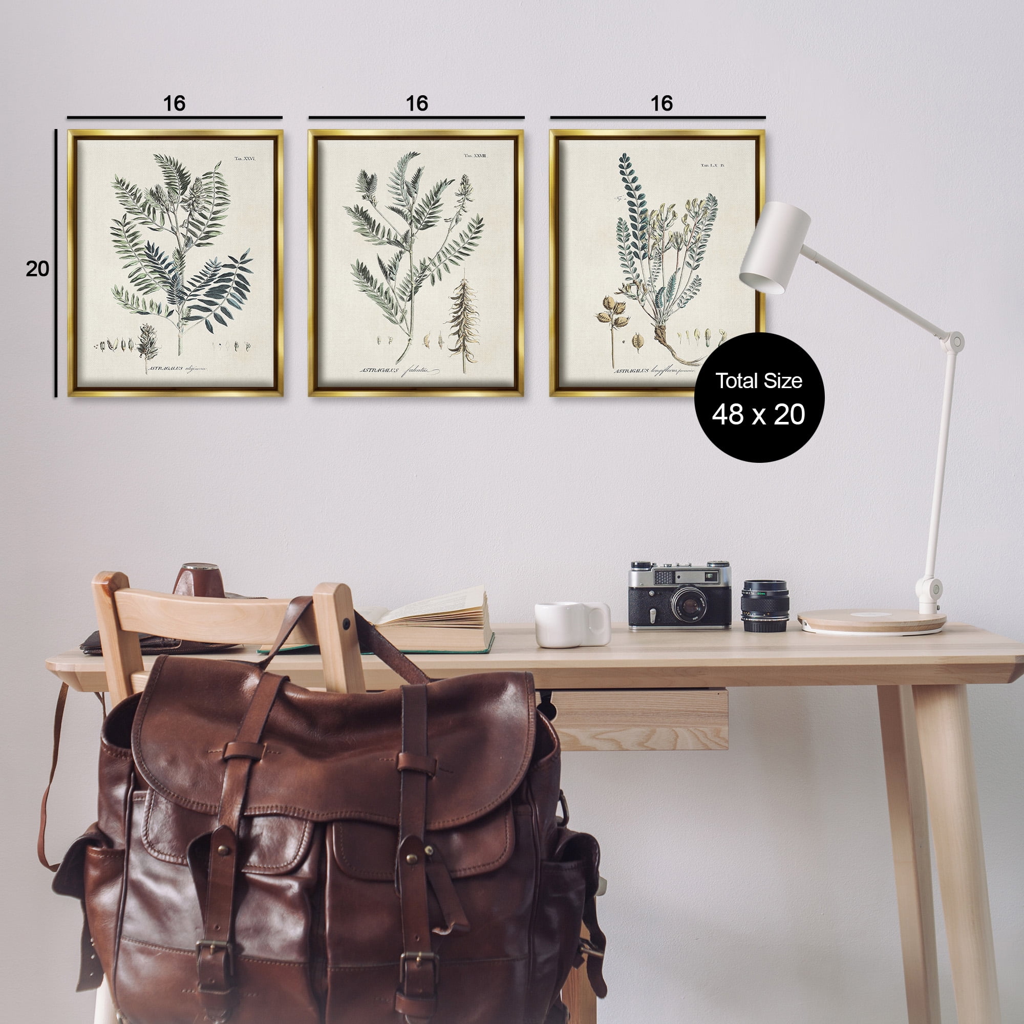 Stupell Industries Woodland Plant Studies Botanical & Floral Painting Gold Floater Framed Canvas Art Print Wall Art, 17 x 21, Set of 3