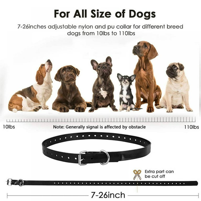Best e collars 2018 sale