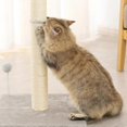 thumbnail image 5 of 15 'Cat Breaking Spare Posts Natural Foggy Cat Cube Interactive Toys Furniture Accessories Tree 2 Package' 26-27s, 5 of 5