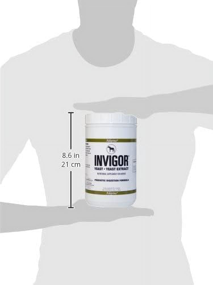 Adeptus Solid Wood Nutrition 20129 Invigor For Horses 3 lbs.