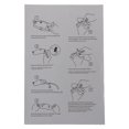 thumbnail image 2 of Protection d'Écran pour Grappe d'Instruments de Moto Yamaha, 2 of 5