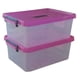 thumbnail image 1 of 2 Cajas de Plastico 18 litros Tapa Rosa Peyo Transparente Multiusos, 1 of 4