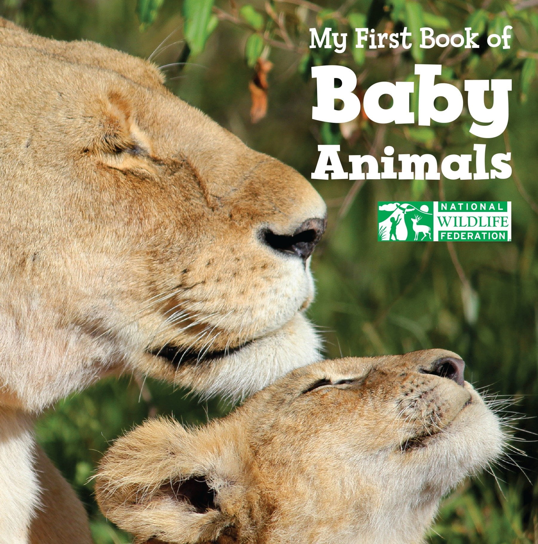 My 1st Book of Baby Animals National Wil (Board Book)