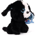 thumbnail image 3 of 12 pz Poodle Negro Titi 15 cm, 3 of 5