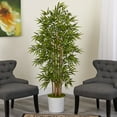 thumbnail image 3 of Nearly Natural 64" Bamboo Artificial Tree in White Tin Planter, 3 of 3