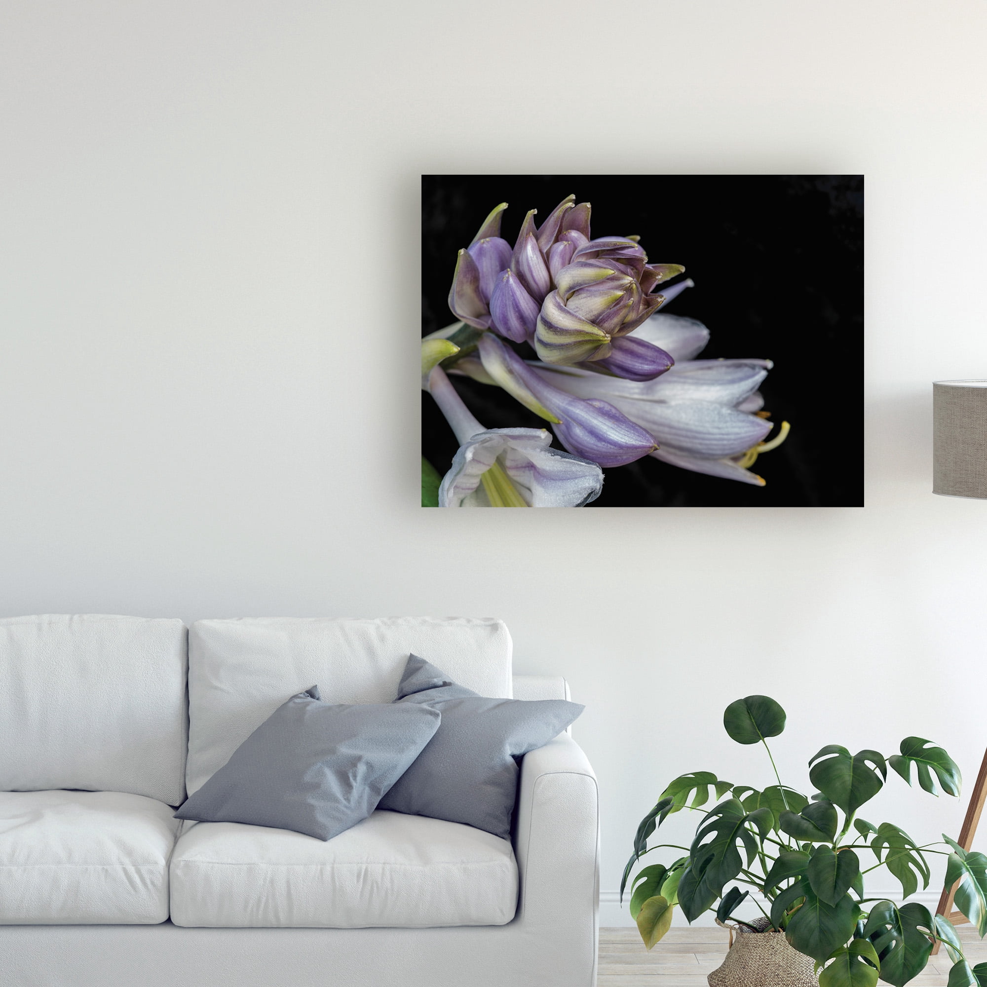 Trademark Fine Art 'Hosta Flower Unfolding' Canvas Art by Kurt Shaffer