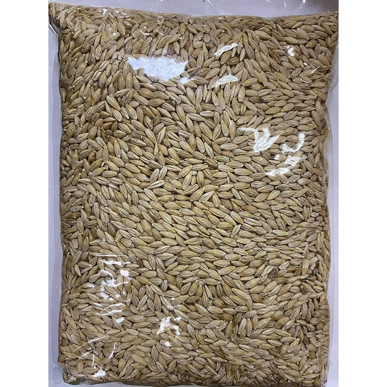 Back2Natural (B2N) Brand Whole Barley-Jav With Husk (non