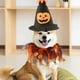 thumbnail image 4 of Disfraz Para Mascotas Con Temática De Halloween. Gorro Para Perros Y Gatos. Traje Ligero, Duradero Y Cómodo Para Fiestas Y Eventos De Cosplay., 4 of 6