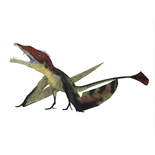 eudimorphodon