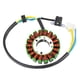 thumbnail image 1 of Estator de Motocicleta Sunnimix Bobina de magneto de 18 cables para YP250 LH170MN, 1 of 6
